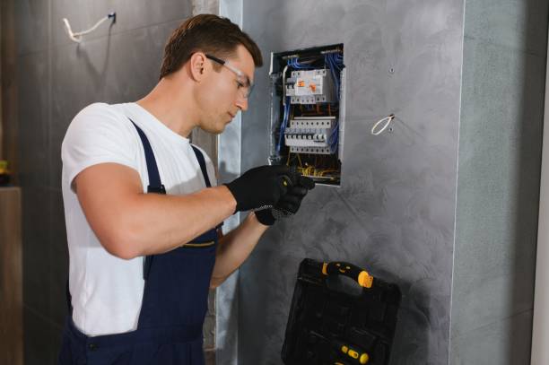 Best Generator Installation Services  in Braska City, NE